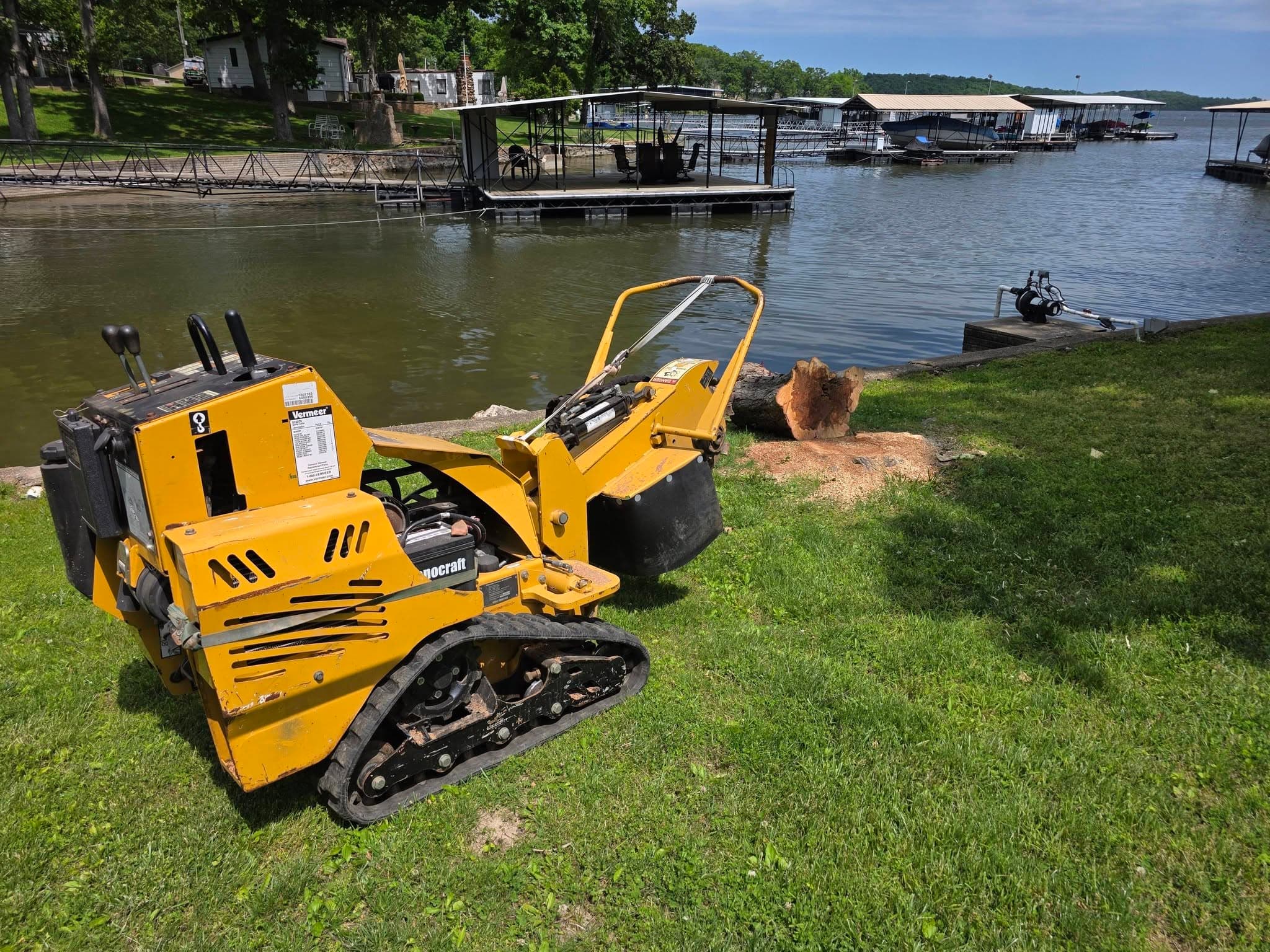 Old hardwood stump beside the dock before grinding