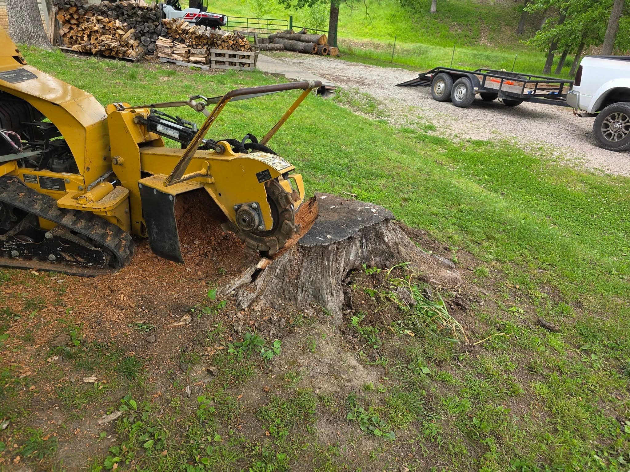 A tracked stump grinder cutting into a large oak stump in an Ozark yard
