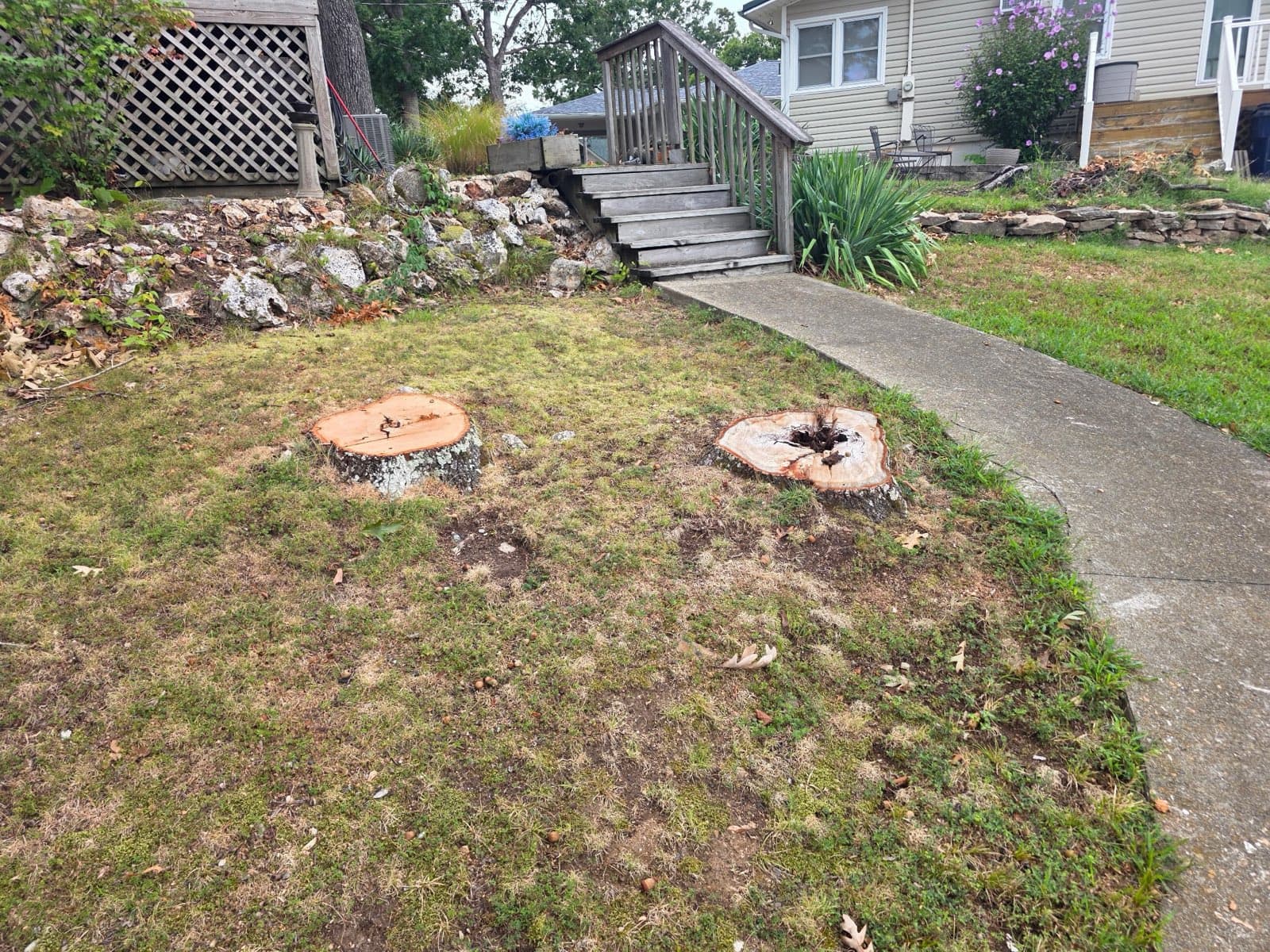 Two cut stumps in a sloped yard below a rock wall and wooden deck stairs
