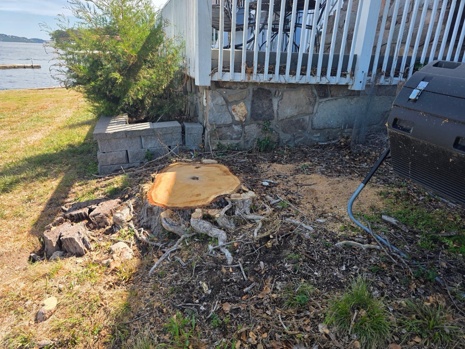 Wide hardwood stump with exposed roots beside a stone deck footing at the lake's edge