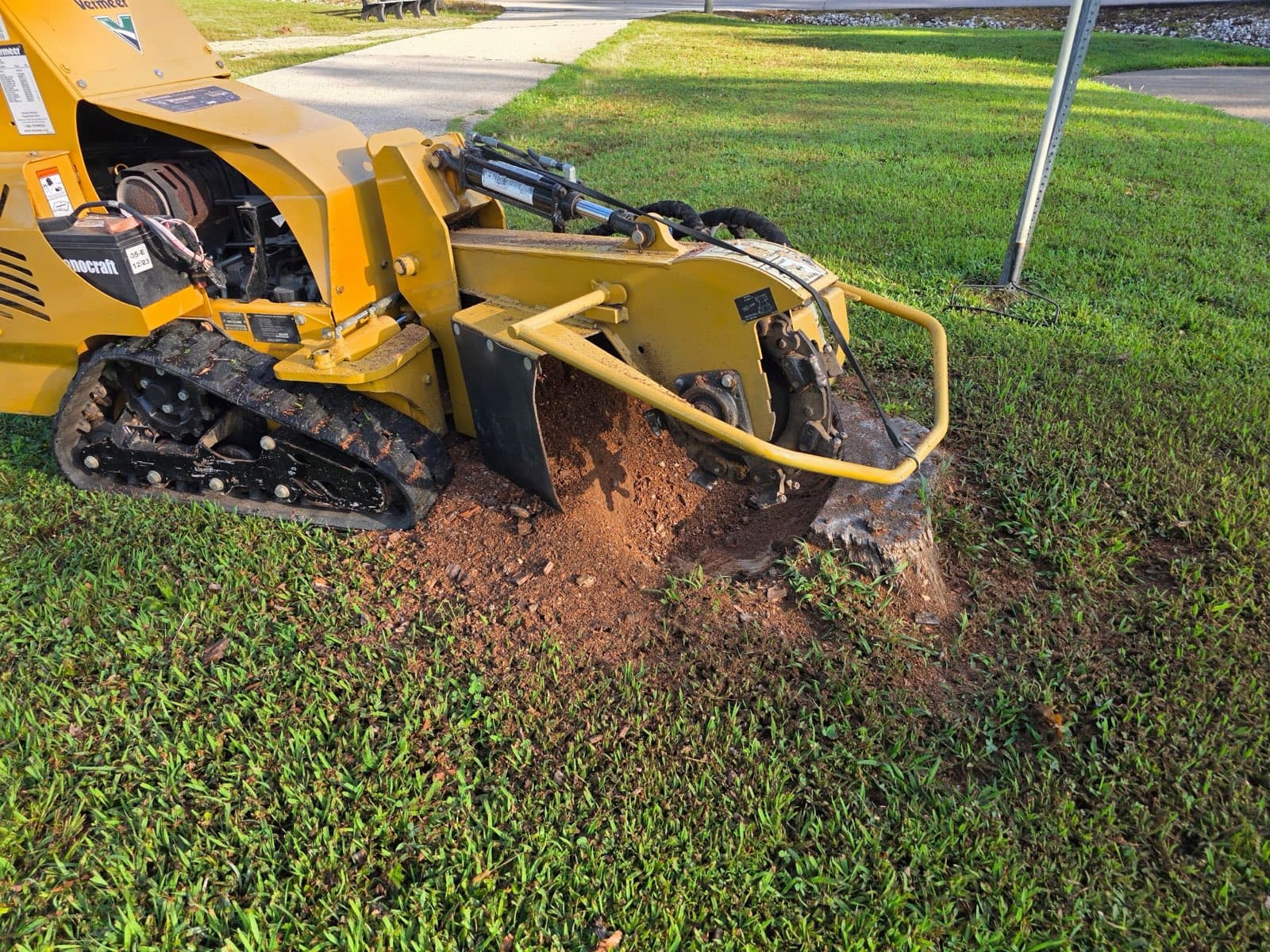 Grinder wheel chewing into the stump with fresh chips piling up